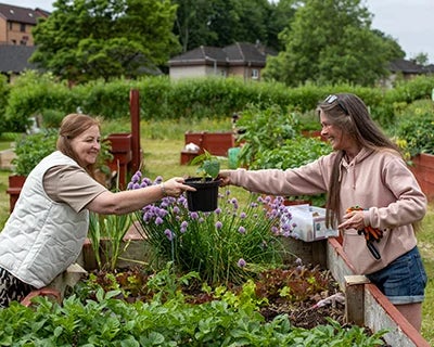 Growing to eat – cultivating wellbeing in Glasgow