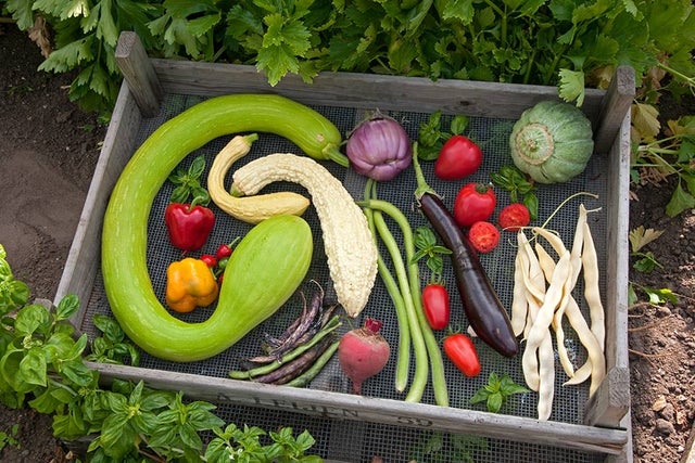 Grow your own