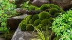 Thumbnail for slide 6