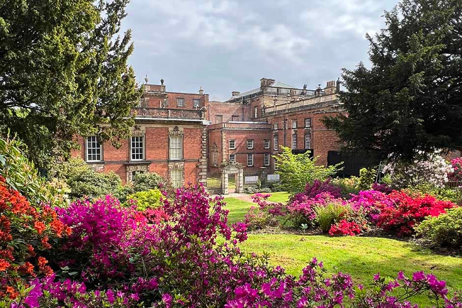 A garden with flowers in front of a building