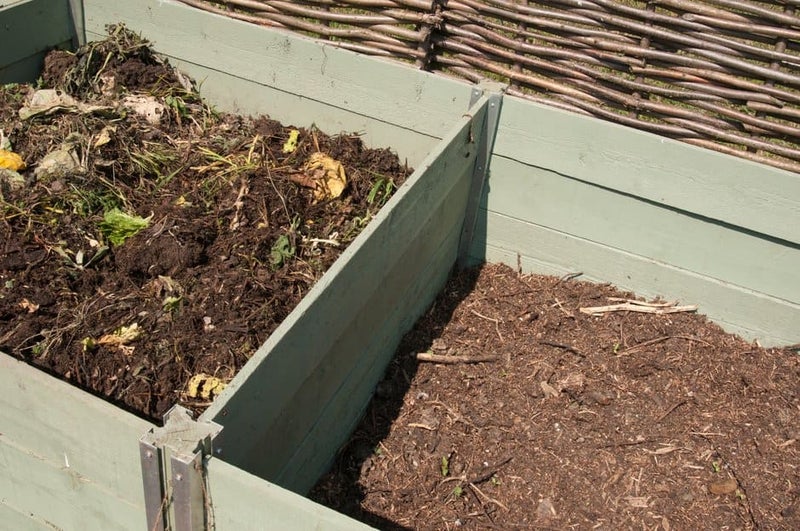 How to Garden Safely | RHS Advice