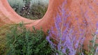 Thumbnail for slide 3