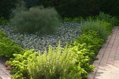 Garth Cottage Herbs