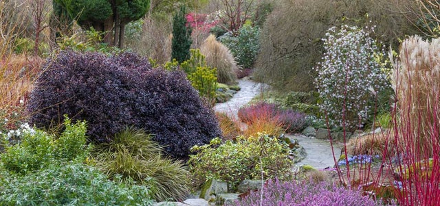 Inspirational RHS Partner Gardens to visit in winter