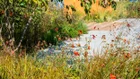Thumbnail for slide 3