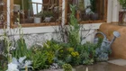 Thumbnail for slide 3