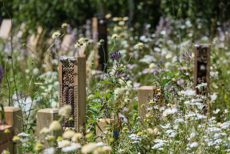 Give wildlife a home