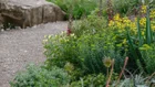 Thumbnail for slide 4