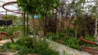Thumbnail for slide 1