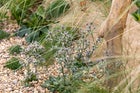 Thumbnail: Naturally Resilient: Inspired by the Norfolk Coast