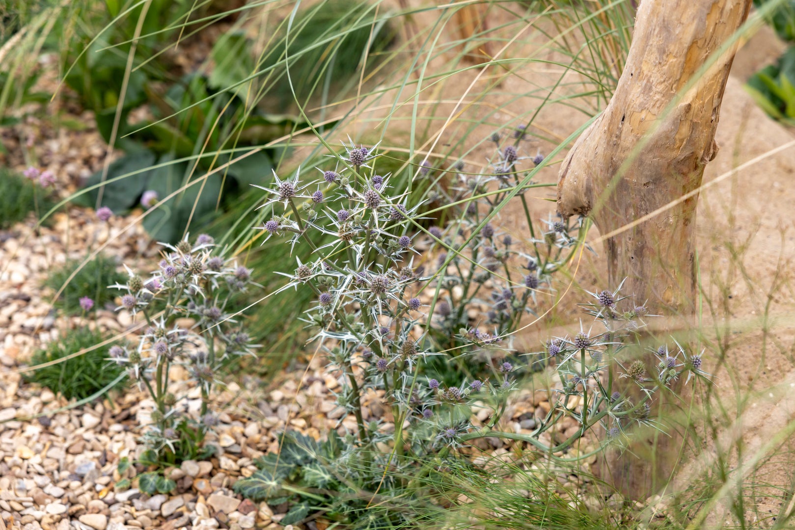 Naturally Resilient: Inspired by the Norfolk Coast