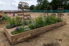 Thumbnail: The Winding Path: A Wellbeing Journey