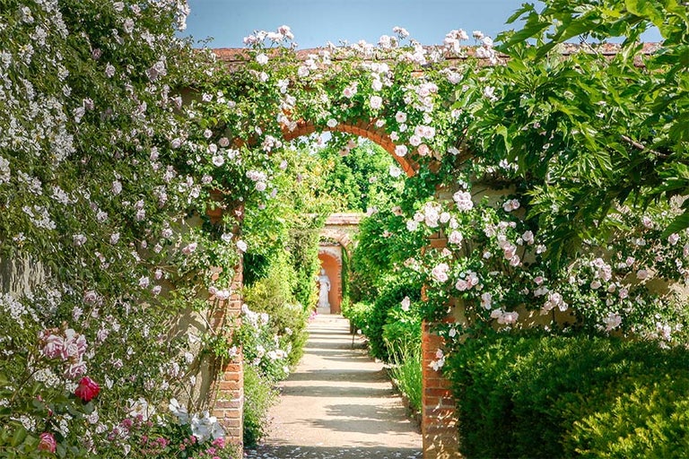 See the latest on RHS Partner Gardens