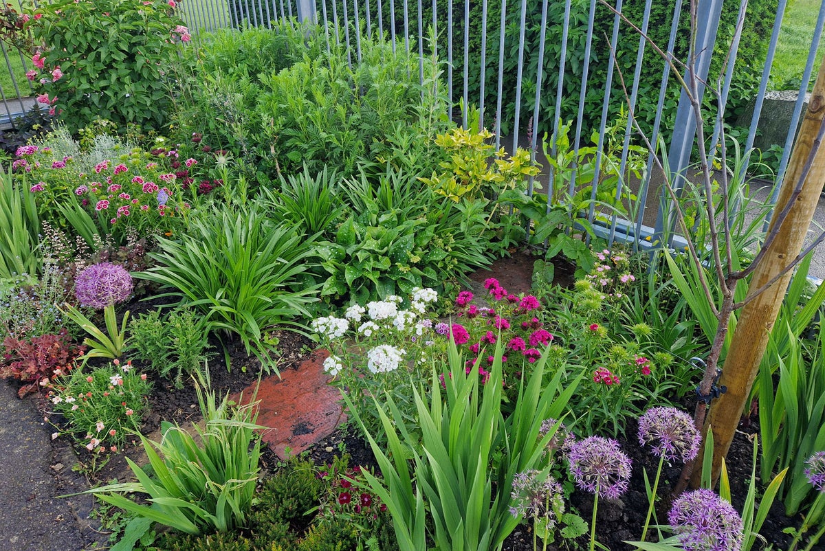 The polyculture back border at Redcatch Community Garden