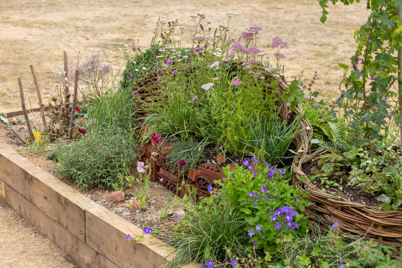 The Norfolk Weave Border Kind to Soil, Nature and Soul