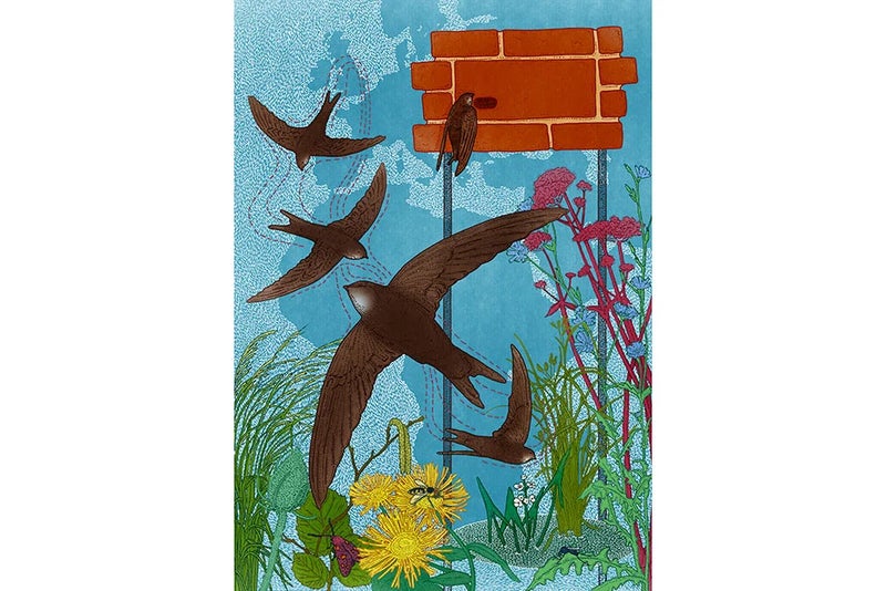 RSPB and RHS Swift Garden