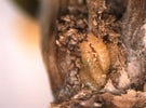 Thumbnail for slide 2