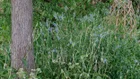 Thumbnail for slide 3