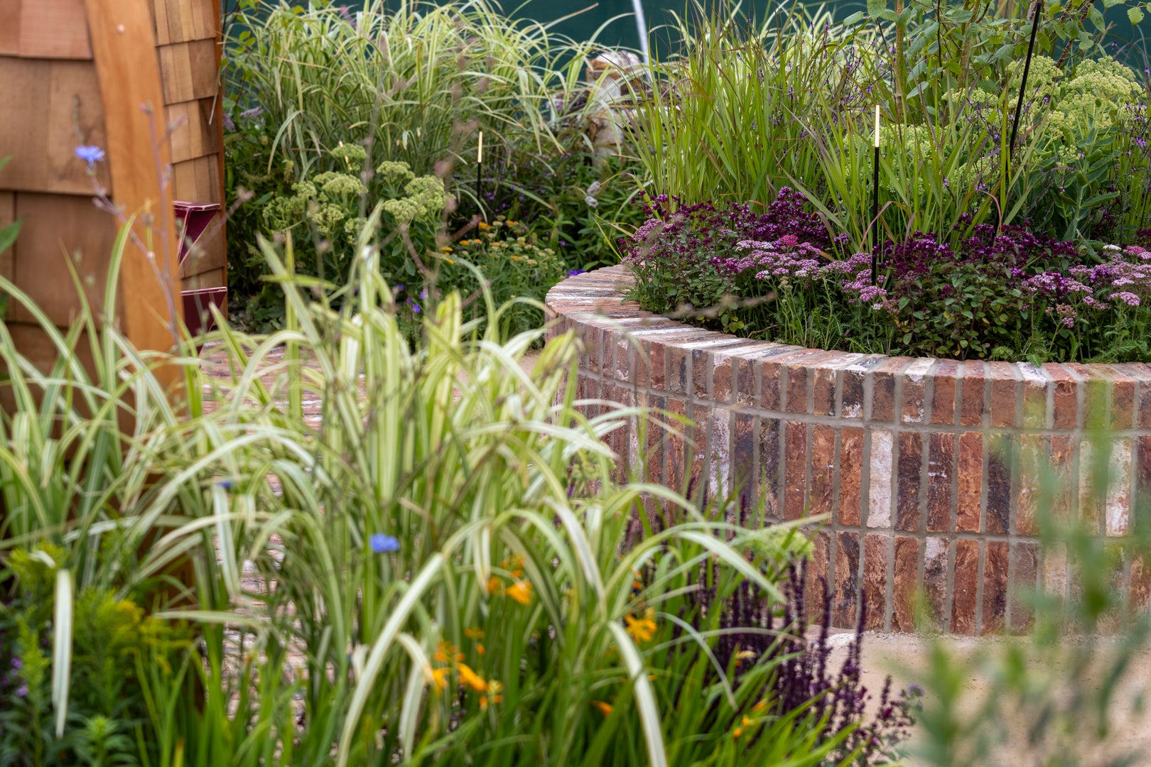 RNIB Talking Books Garden