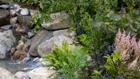 Thumbnail for slide 3