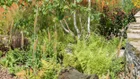 Thumbnail for slide 4