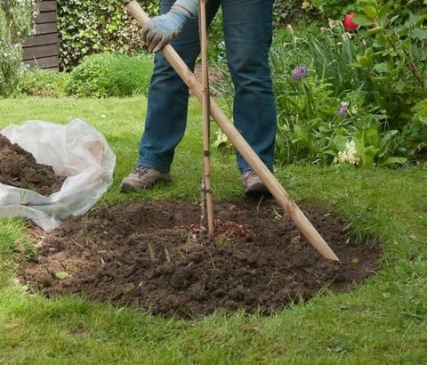How to Stake a Tree | RHS Advice