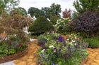Thumbnail: RHS Royal Legacy Garden