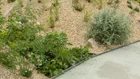 Thumbnail for slide 3