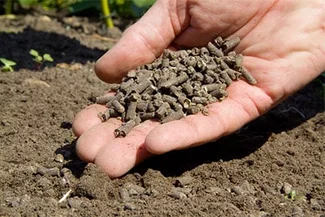 Organic Gardening: A Complete Guide | RHS Advice
