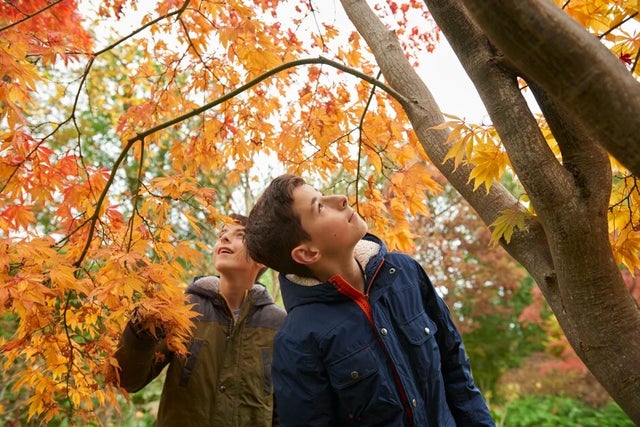 Don’t miss October half term at RHS Gardens