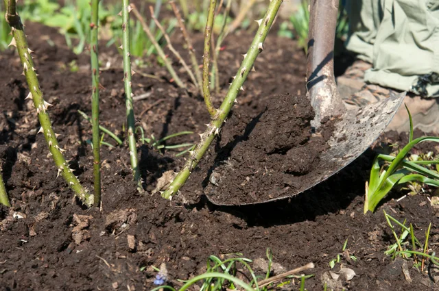 How to use fertilisers