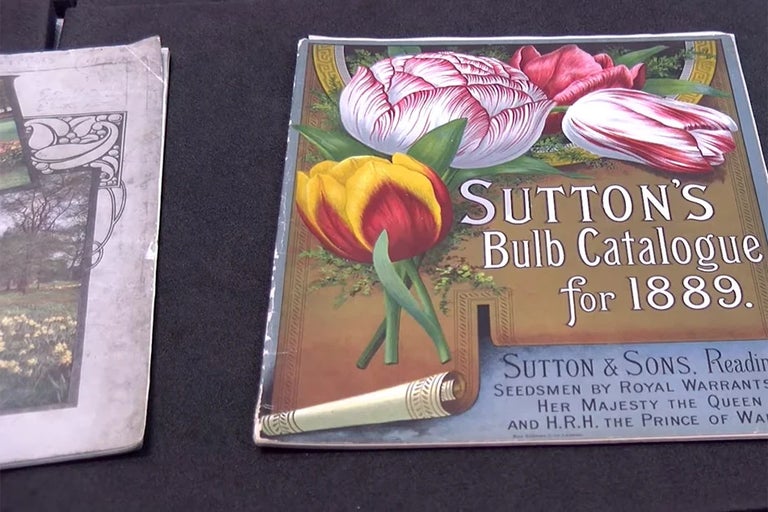 Digital Dig – uncovering Britain’s lost plant nurseries