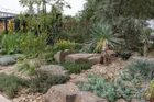 Thumbnail for slide 1