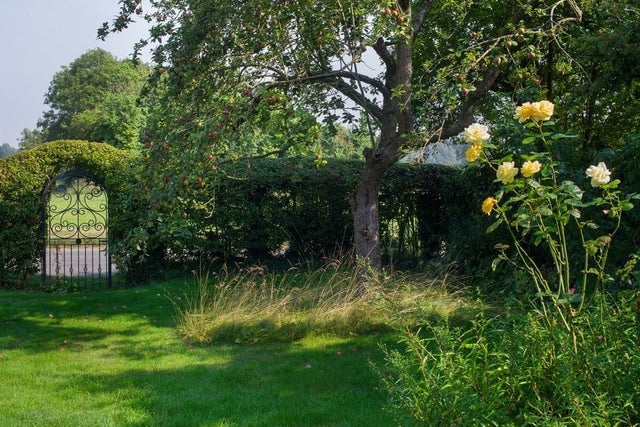 Hedge and woodland edge habitats