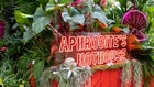 Thumbnail for slide 4