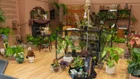 Thumbnail for slide 1