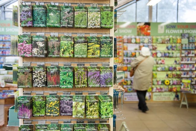 Seeds: the inside story