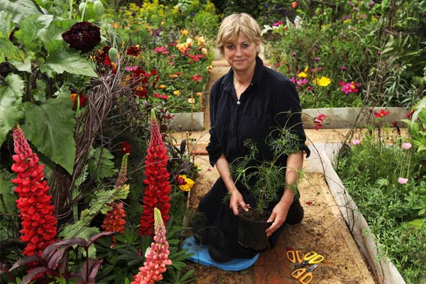 Sarah Raven's fabulous flowers
