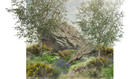 Thumbnail for slide 5