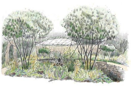 A drawing of a garden