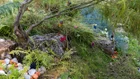Thumbnail for slide 2