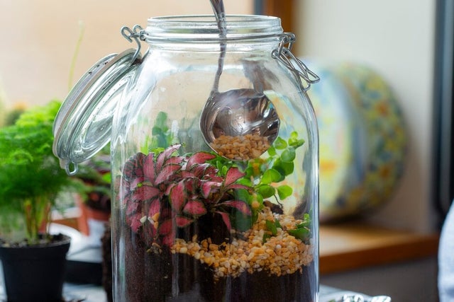 Shop terrarium supplies