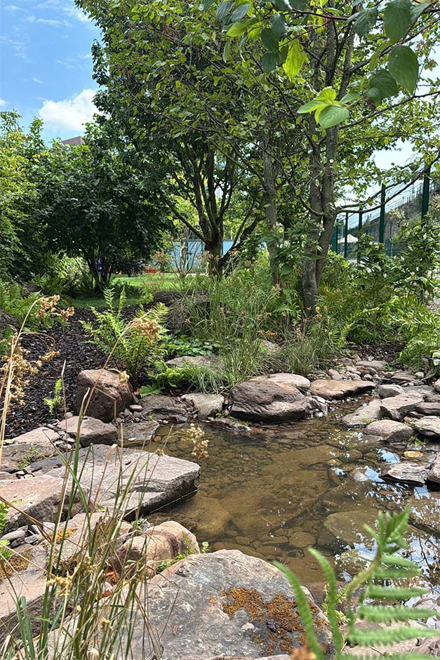 Stream in the dog garden at Battersea