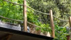 Thumbnail for slide 5