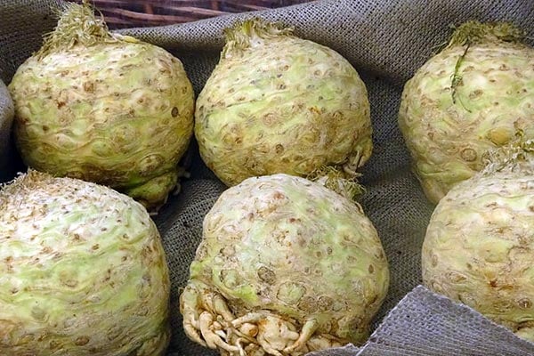 ‘B�������������Գ�’