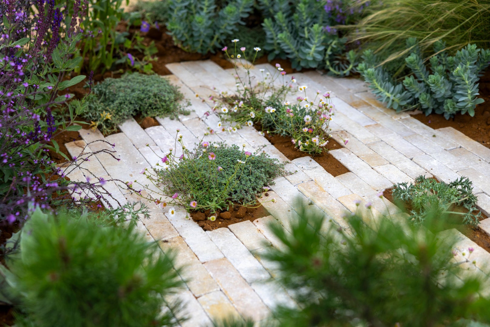 The Goldcrest Garden: Restoring Habitat, Repairing Climate