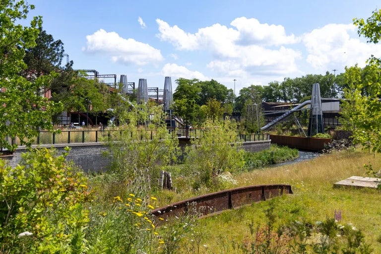 Take a look back at the RHS Urban Show in Manchester in 2024