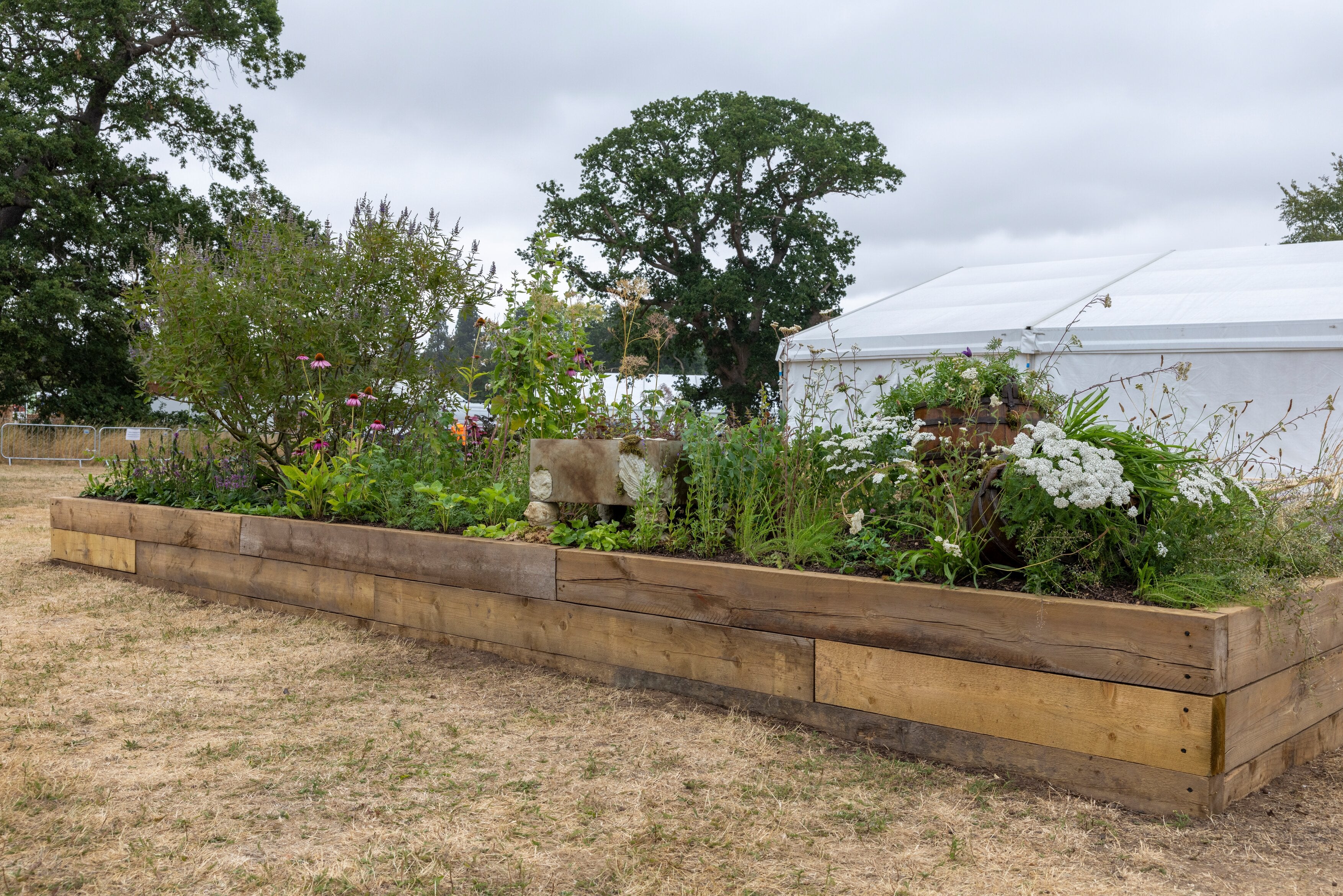 Ladywell Physic Garden