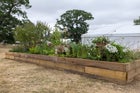 Thumbnail: Ladywell Physic Garden