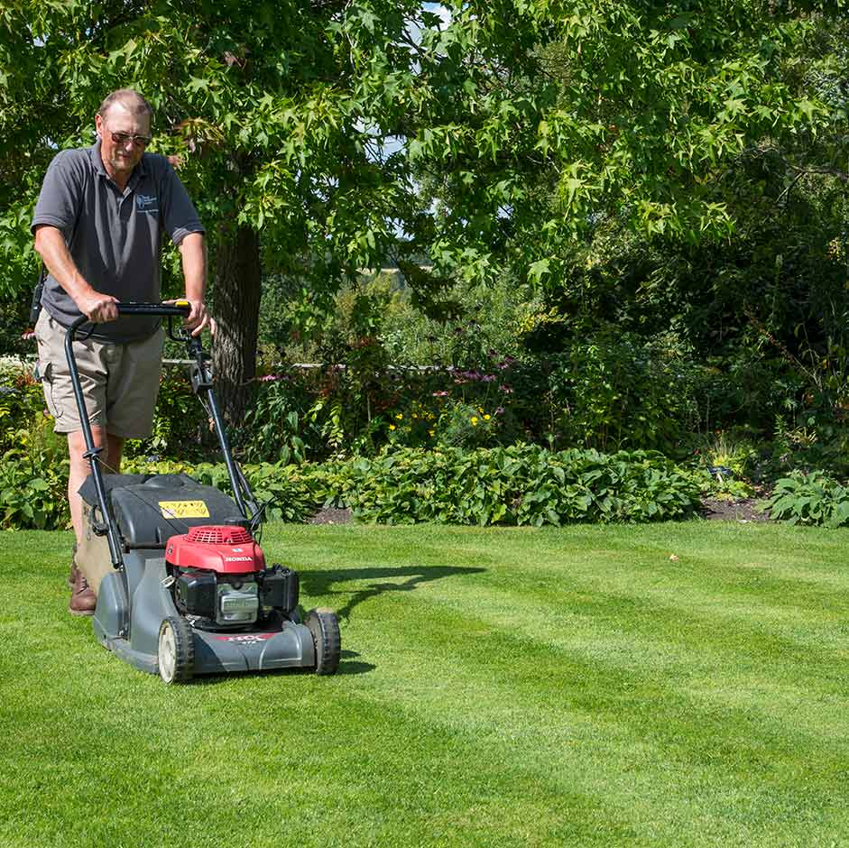Gear and Setup: What You Need for a Smooth Cut